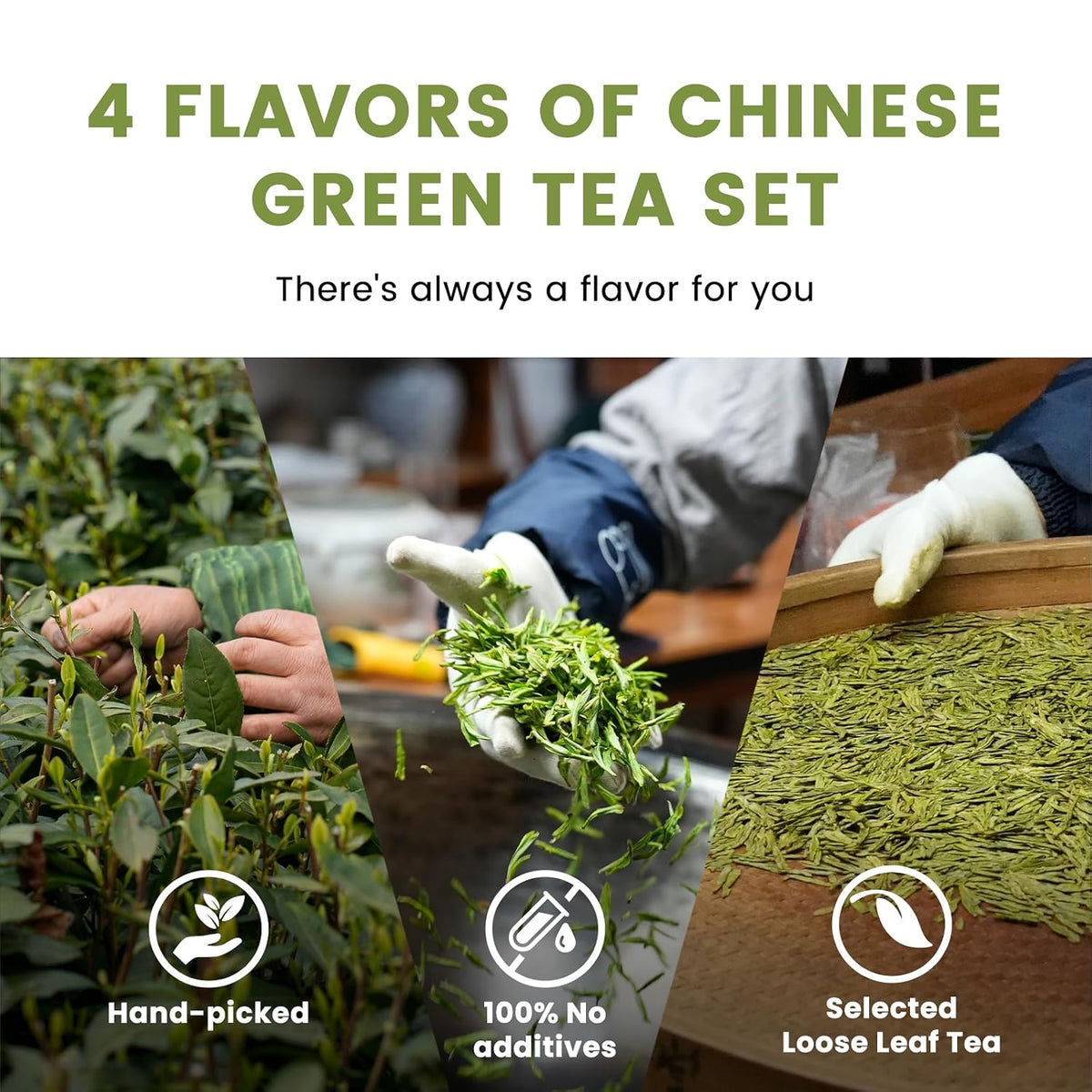 iTeaworld 4 Styles Chinese Green Tea Sampler, Beginner Tasting Kit (2.01oz) | Up to 160 Cups|Longjing,Biluochun,Lu'an Guapian,Huangshan Maofeng|Low Bitterness|Easy Mug Brewing