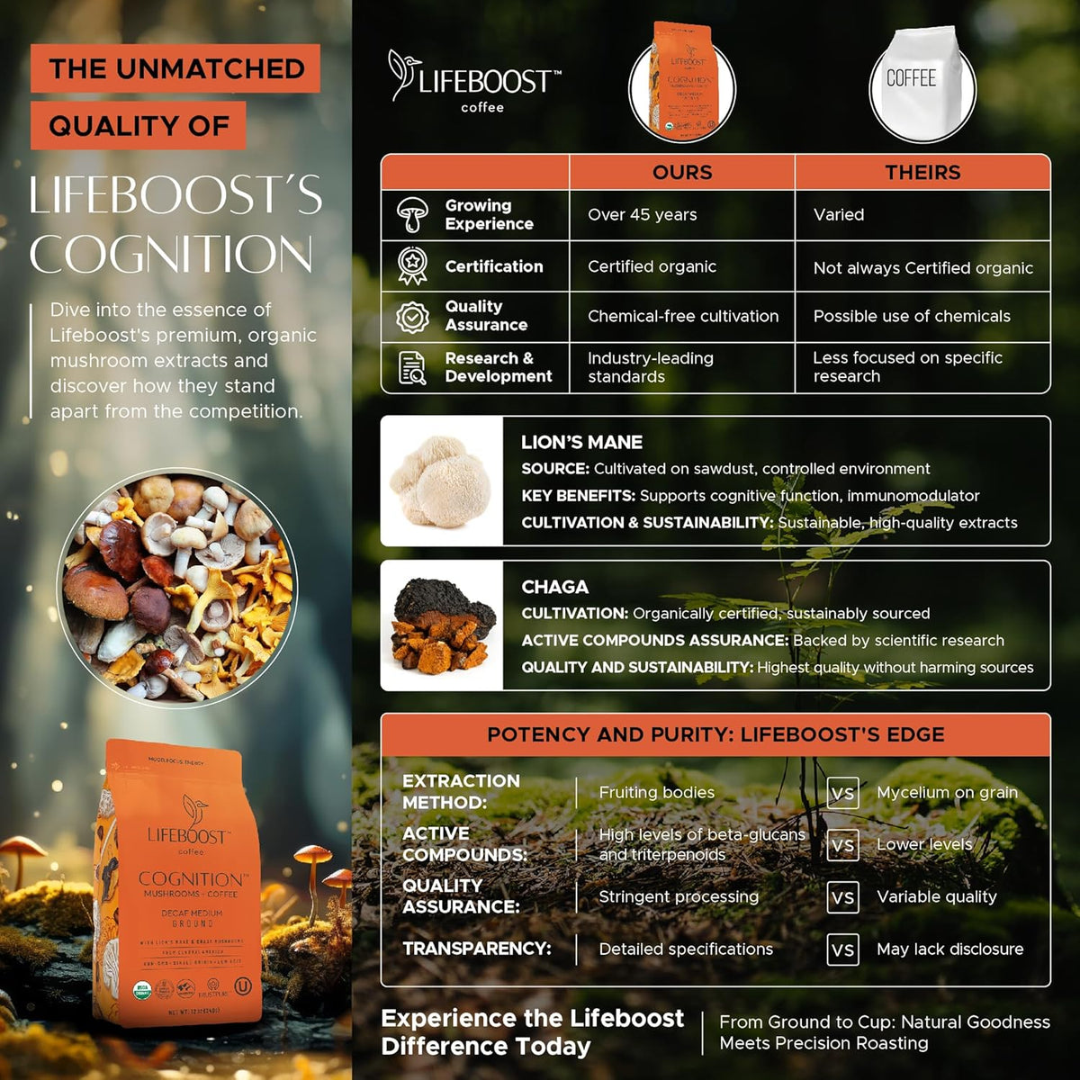Lifeboost Cognition Decaf Focus Coffee for Calm Energy - Lion’s Mane Mushroom Coffee with Chaga - Organic Medium Roast Decaf Nootropic Coffee - Low Acid Adaptogenic Coffee - 12 oz Ground