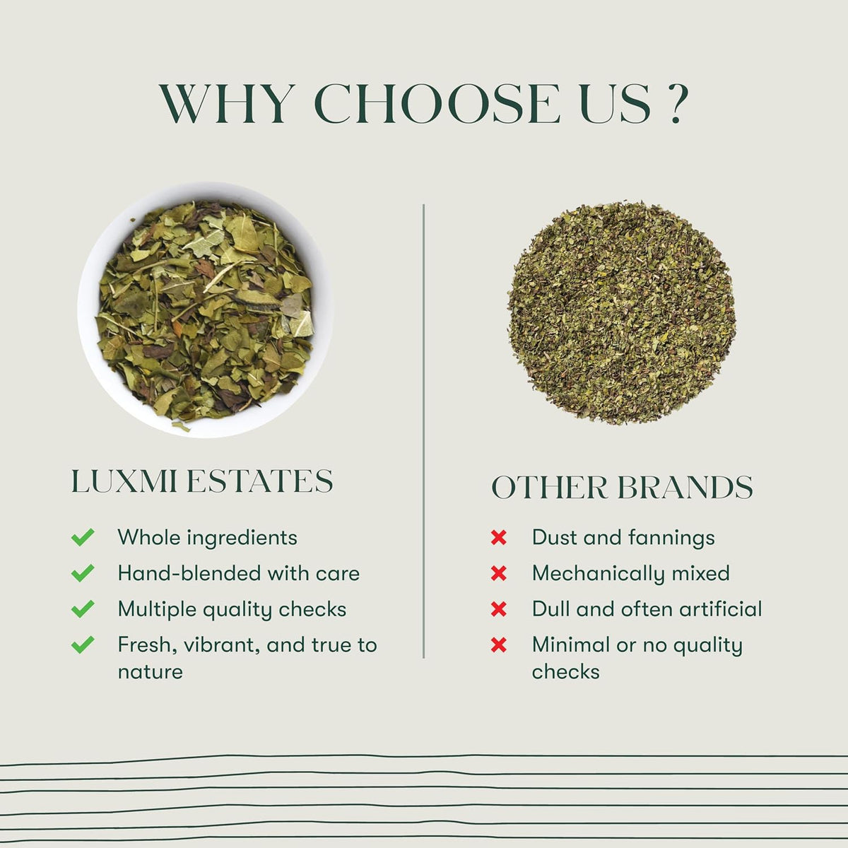 Luxmi Estates Moringa Mint Tea, Loose Leaf, 50g (1.76oz, ~25 Cups), Moringa Oleifera Leaf with Spearmint - Caffeine-Free Herbal Superfood Infusion, Vegan &amp; Non-GMO