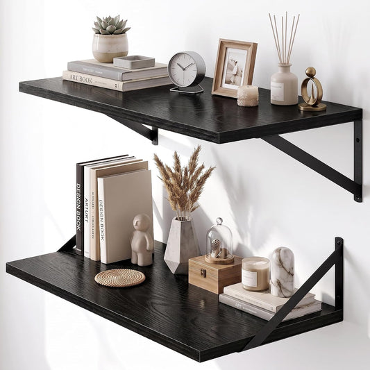 Dreamland Wall Mounted Floating Shelves Set of 2