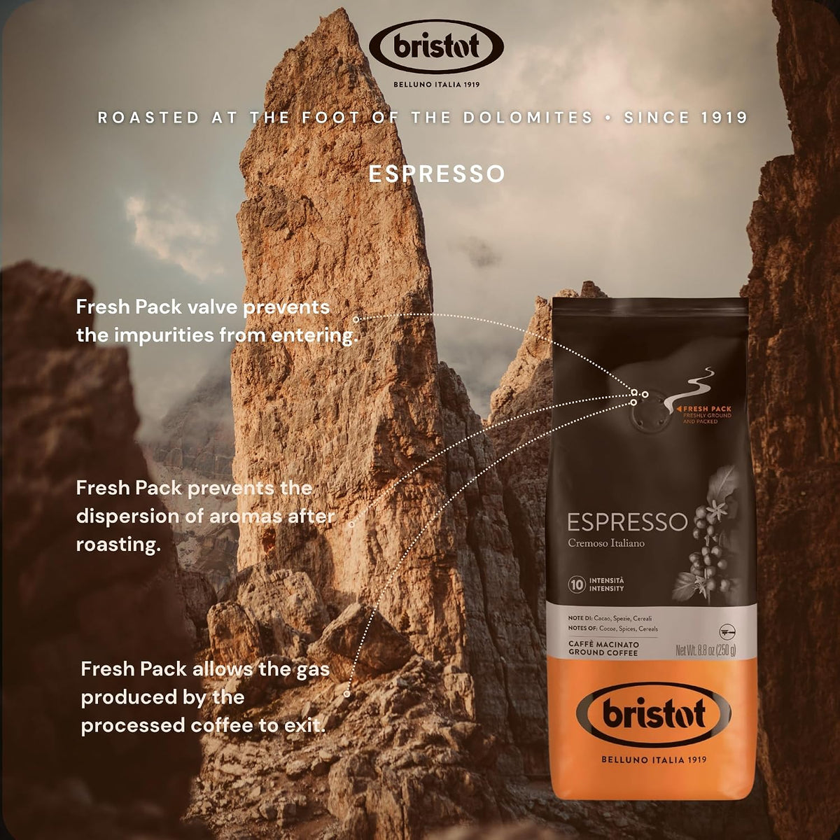 Bristot Espresso Beans