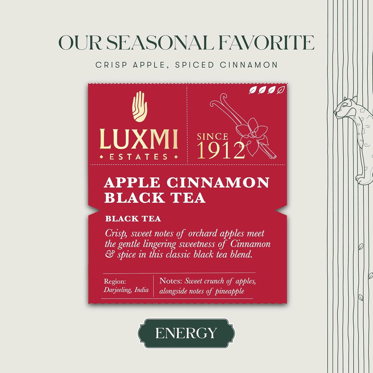Luxmi Estates Apple Cinnamon Black Tea 50 Tea Bags (100g/3.52oz) Pack | USDA Certified Premium Black Tea | 50 Biodegradable Tea Bags