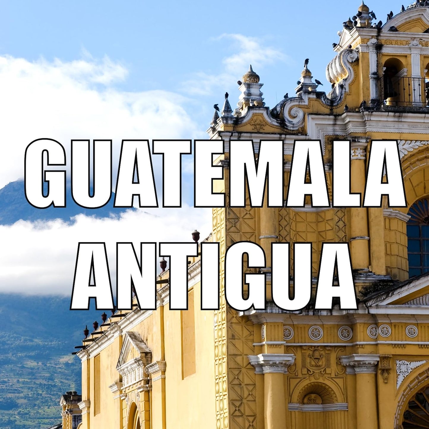 Guatemalan Coffee, Antigua, Ground, Medium Roast, USDA Organic, Fresh Roasted, 16-ounce