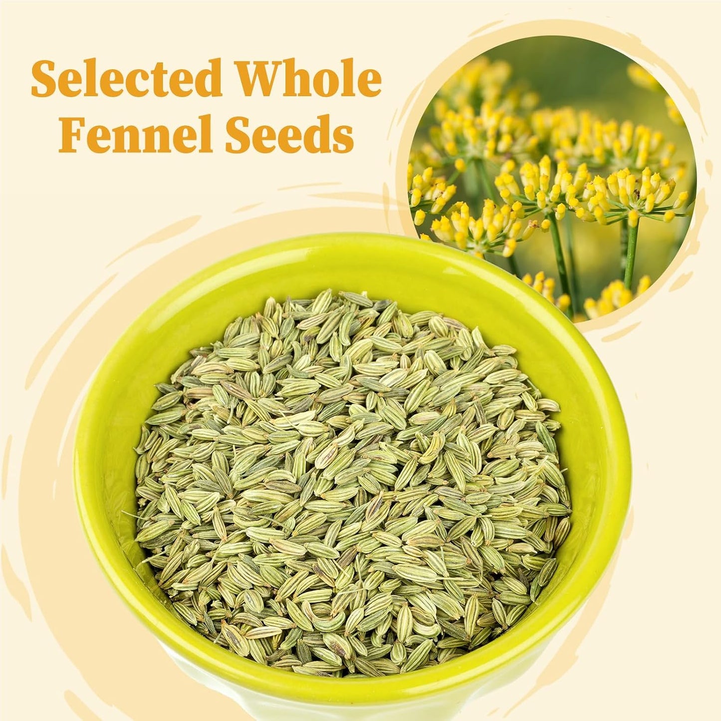 FullChea - Fennel Tea Bags, 30 Count, Whole Fennel Seeds | Warm aromatic seed infusion, caffeine-free, supports digestion and immune wellness in daily herbal tea routines