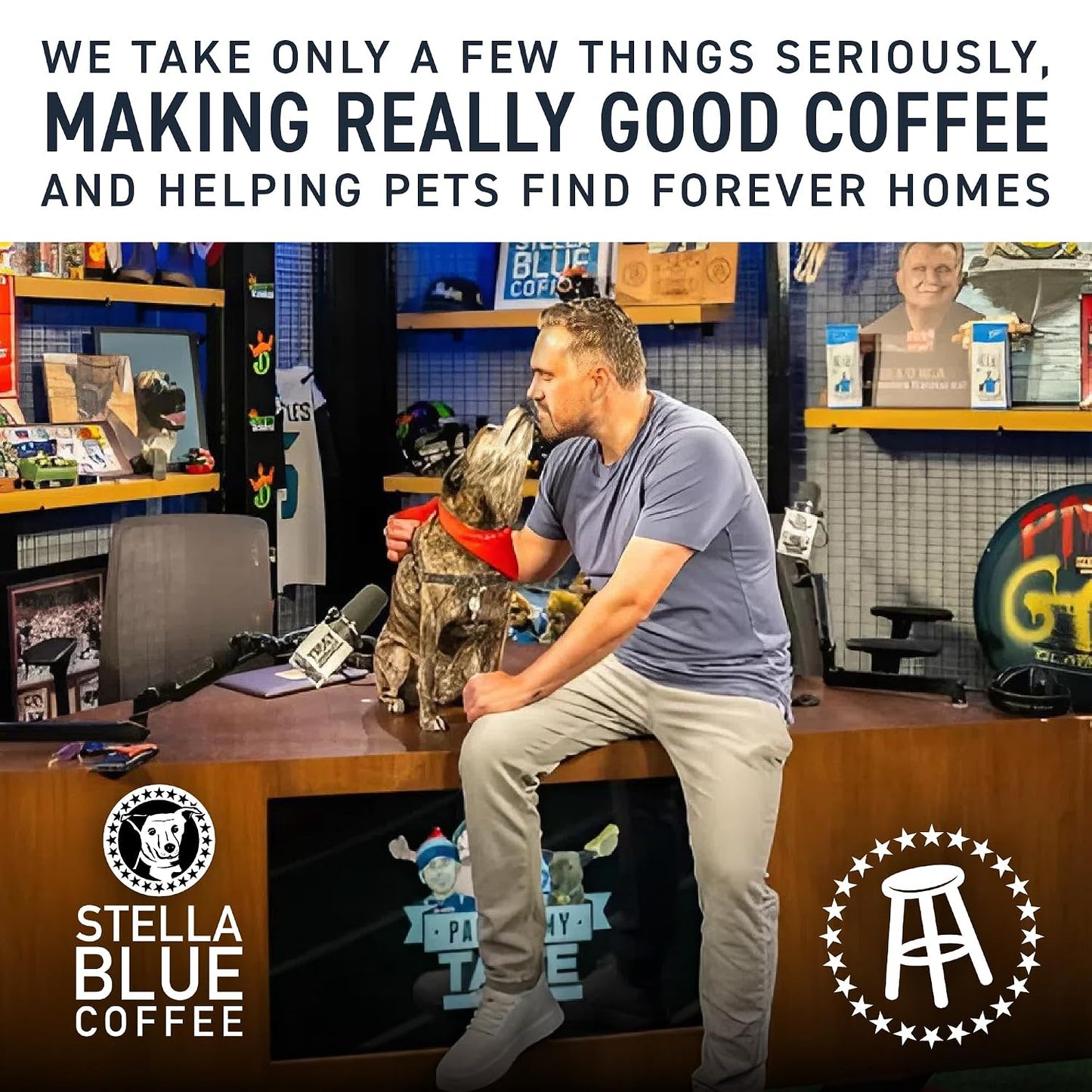 Cold Brew Coffee Bags, Blueberry Muffin, Medium Roast, Ground Coffee | Stella Blue Coffee, 6 Packets, Arabica, Rainforest Alliance Certified, Smooth Bold Finish, Ethically Sourced, Makes 24 Cups