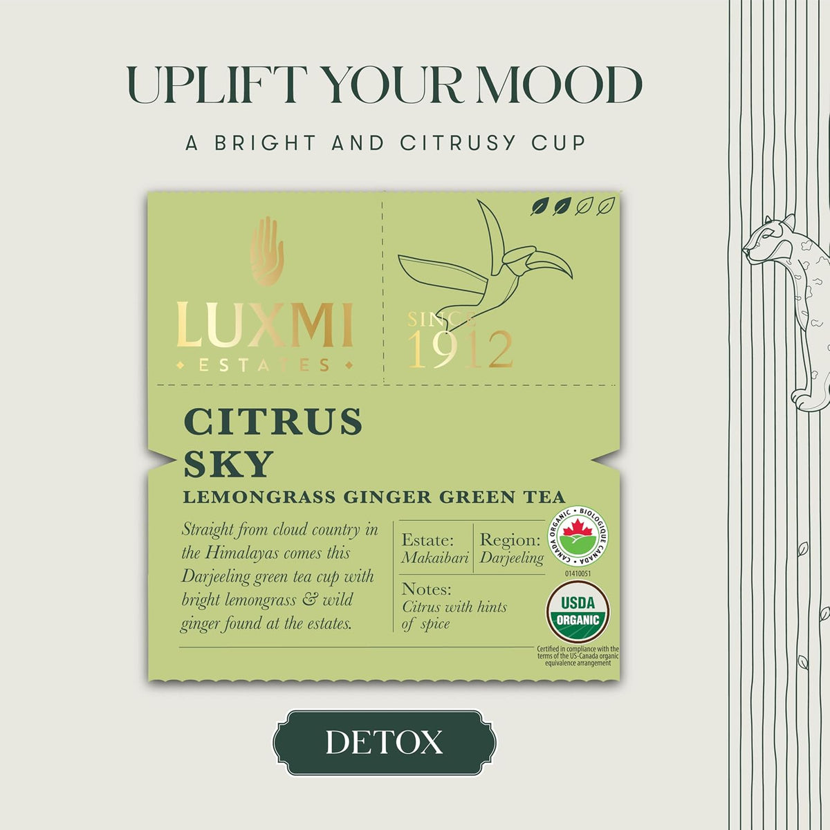 Luxmi Estates Citrus Sky Lemongrass Ginger Green Tea 200g Loose Leaf Pack