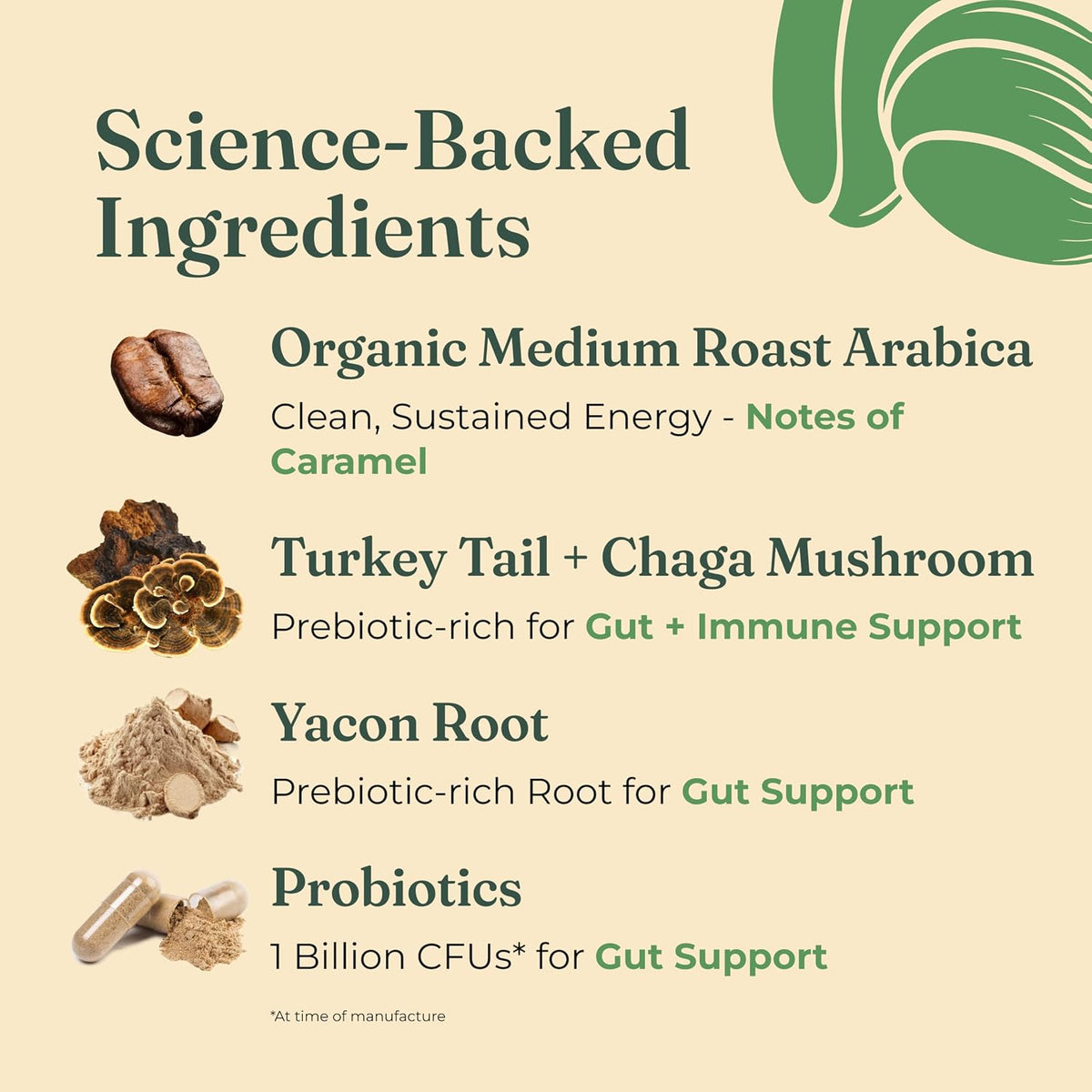 Four Sigmatic Gut Health Organic Ground Coffee | Medium Roast, Immune Boosting Probiotic Mushroom Coffee with Chaga &amp; Turkey Tail for Gut Health &amp; Immune Support | 12oz Bag