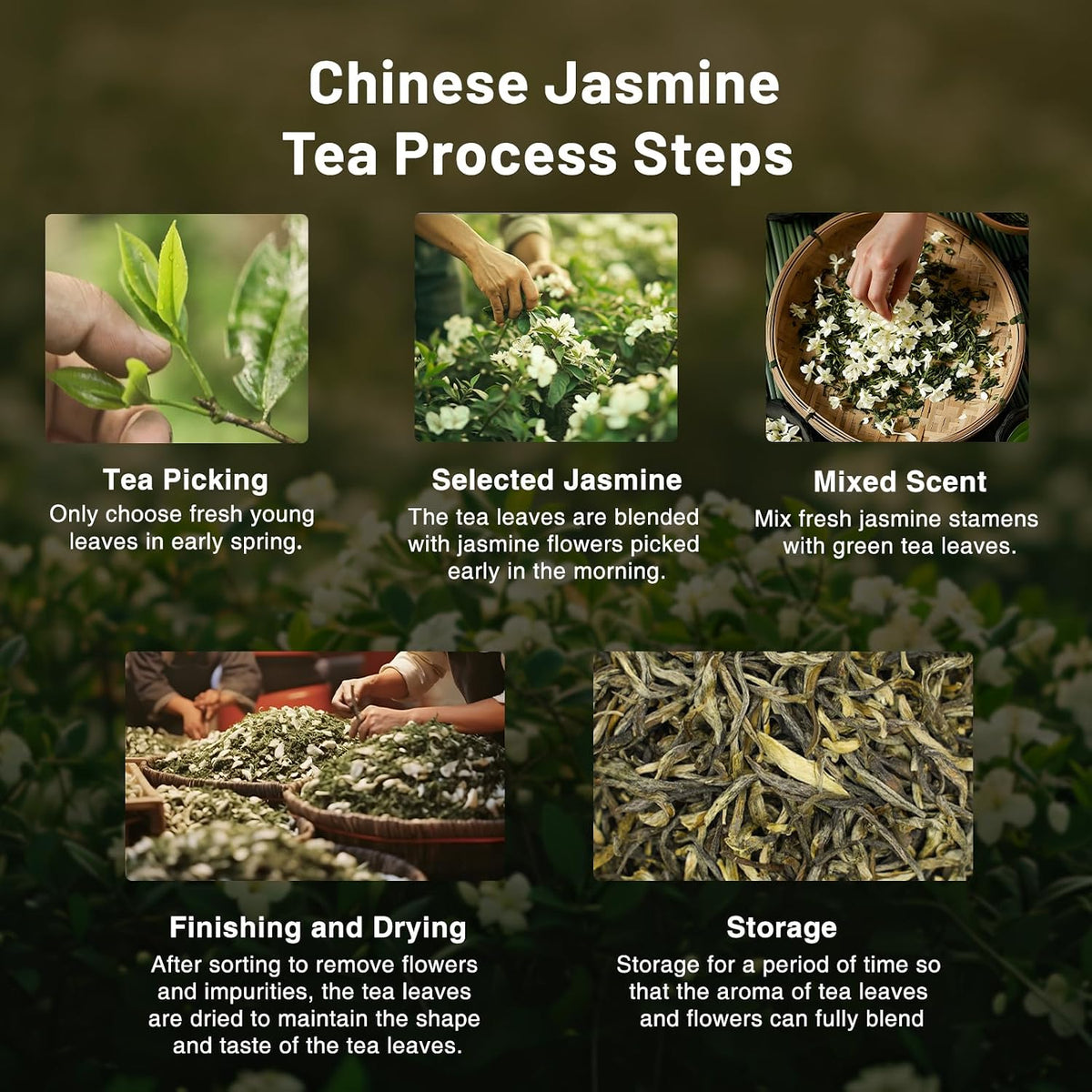 iTeaworld Jasmine Loose Leaf Green Tea,Scented Jasmine Biluochun 3.5oz | Up to 250 Cups|Authentic Triple-Scented Jasmine Green Tea|No Additive|Includes Tea Bags Easy Mug Brewing