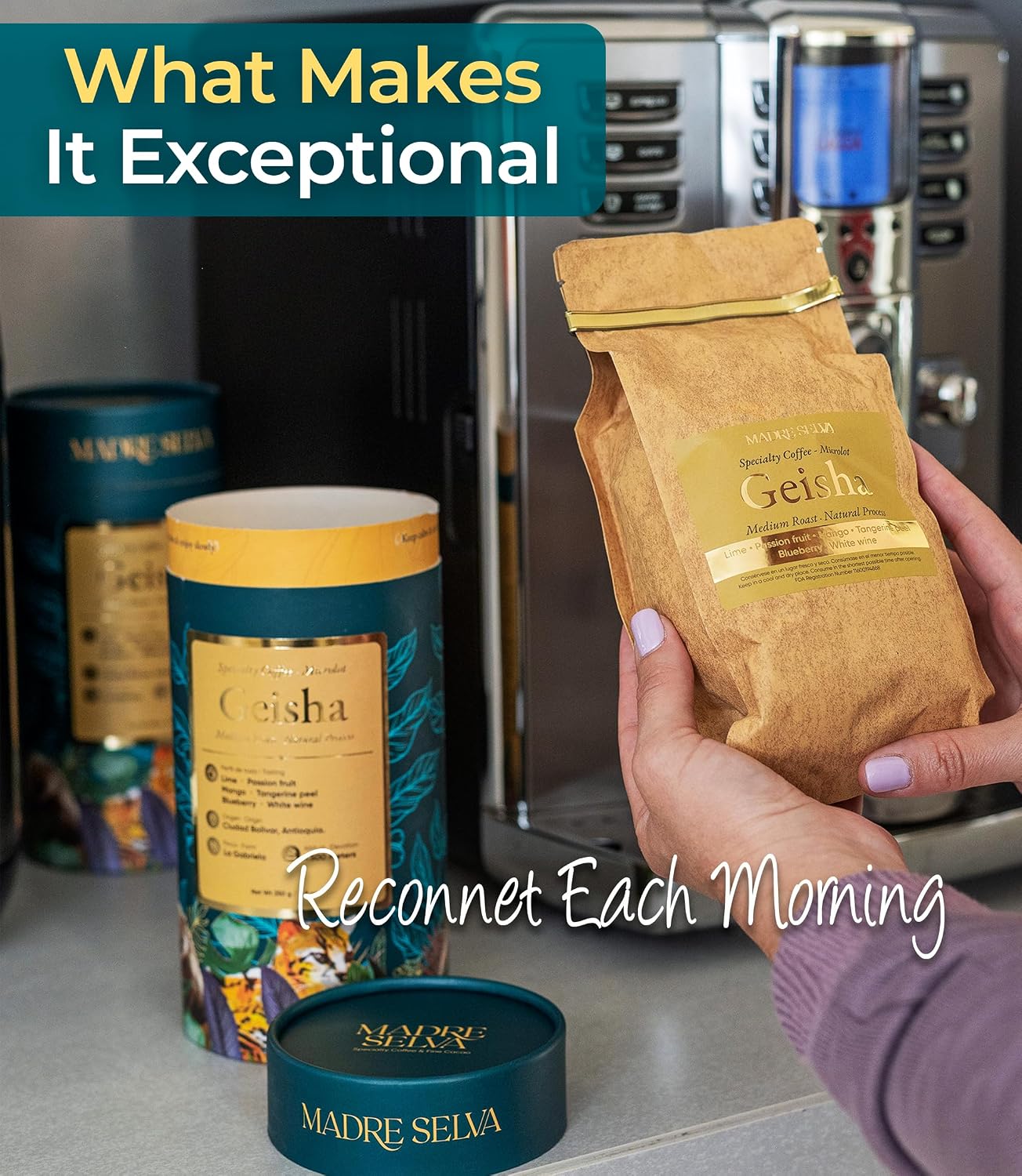 Madre Selva Geisha Coffee Beans Single Origin Colombian Medium Roast 8.8oz