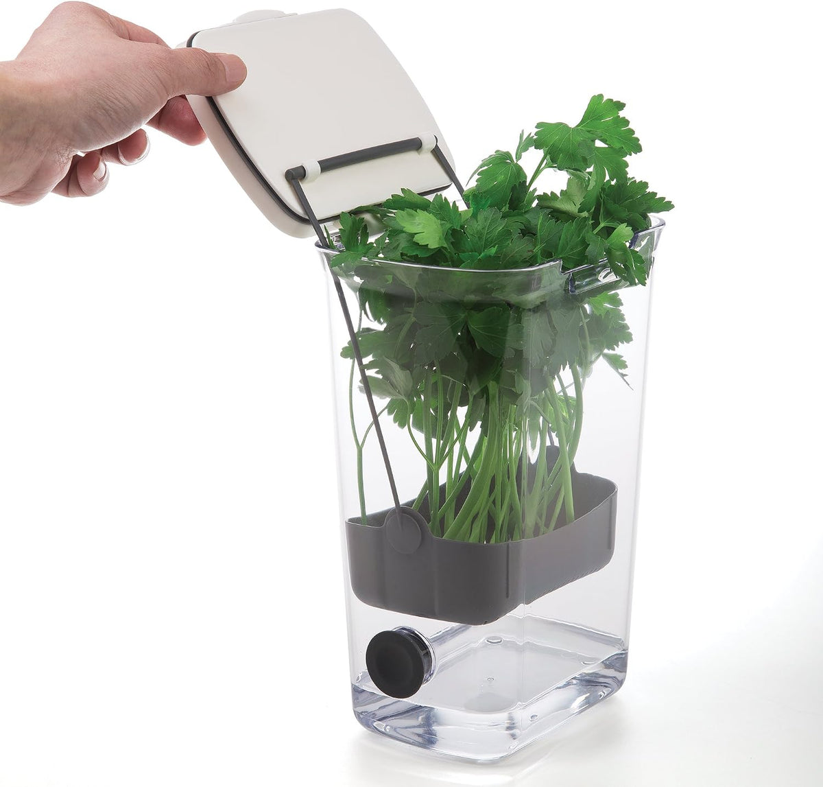 ProKeeper Herb Keeper – 1-Piece, White, with Removable Silicone Drain Plug, BPA-Free Plastic