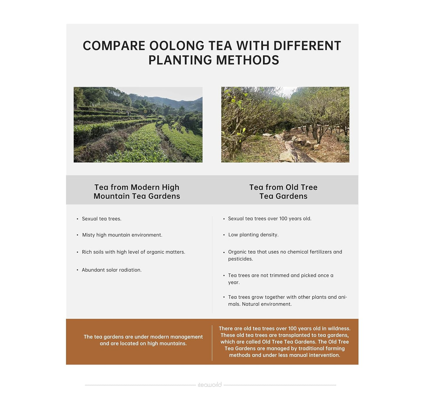 iTeaworld 4 Flavors Oolong Loose Leaf Tea Sampler, Up to 112 Cups(2.1oz) | Up to 110 Cups|Dahongpao,Fenghuang Dancong ect.|High to Low Caffeine|20 Individually Wrapped Packs|Tea Variety Gift Set