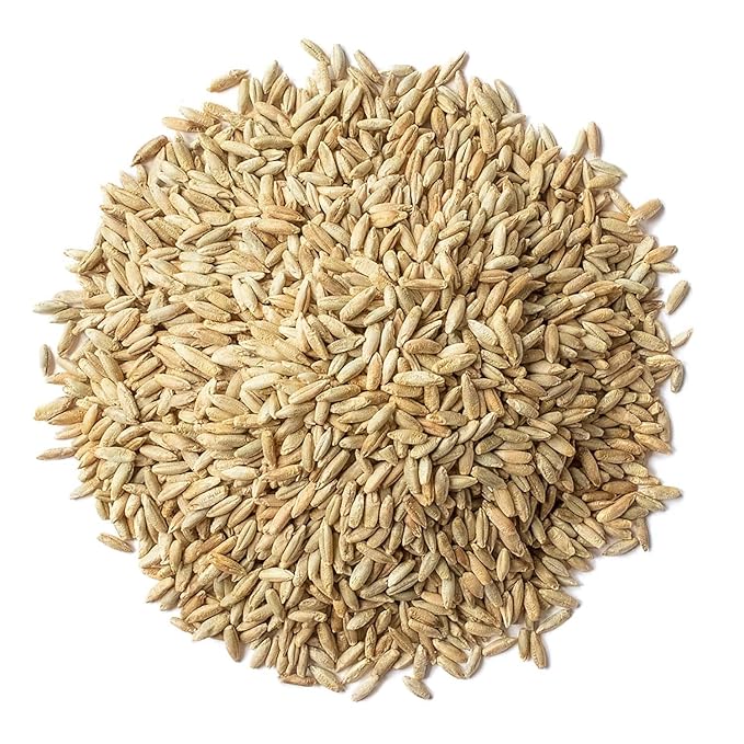 Food to Live Rye Berries, 1 Pound – Whole Grain Powerhouse for Bread, Sourdough, Porridge, and Granola. Rich in Fiber and Nutrients. Raw, Unprocessed, Vegan, Kosher, Seeds in Bulk
