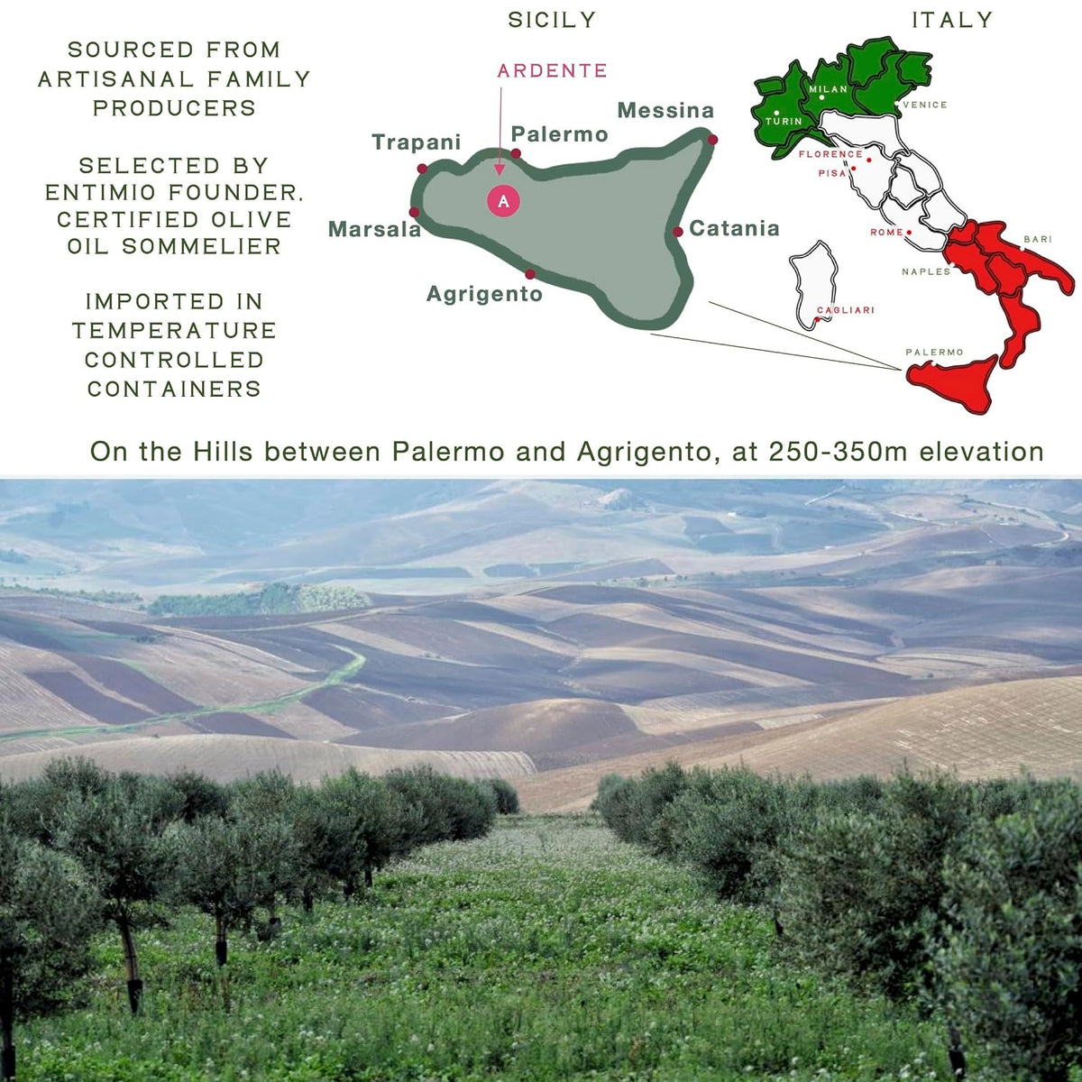 Entimio Ardente Organic Italian Extra Virgin Olive Oil from Italy
