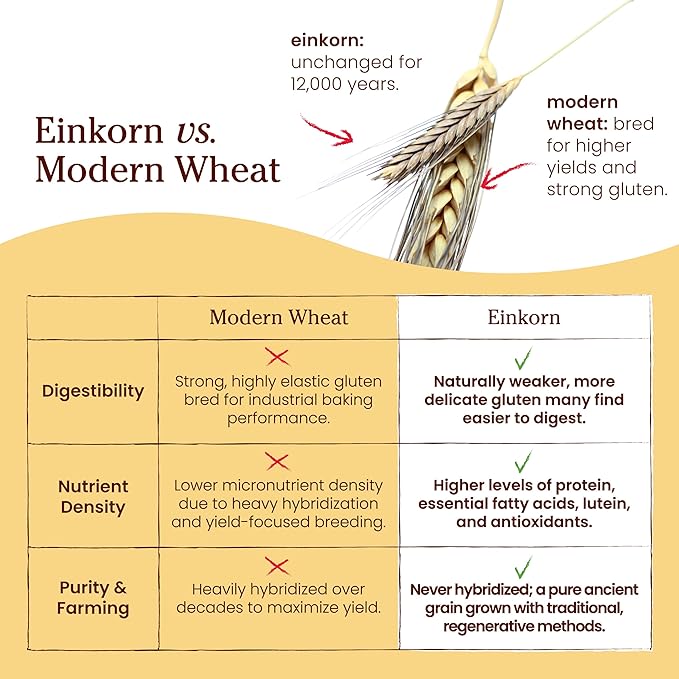 Jovial Organic Einkorn Flour, 32 oz (2 pack)