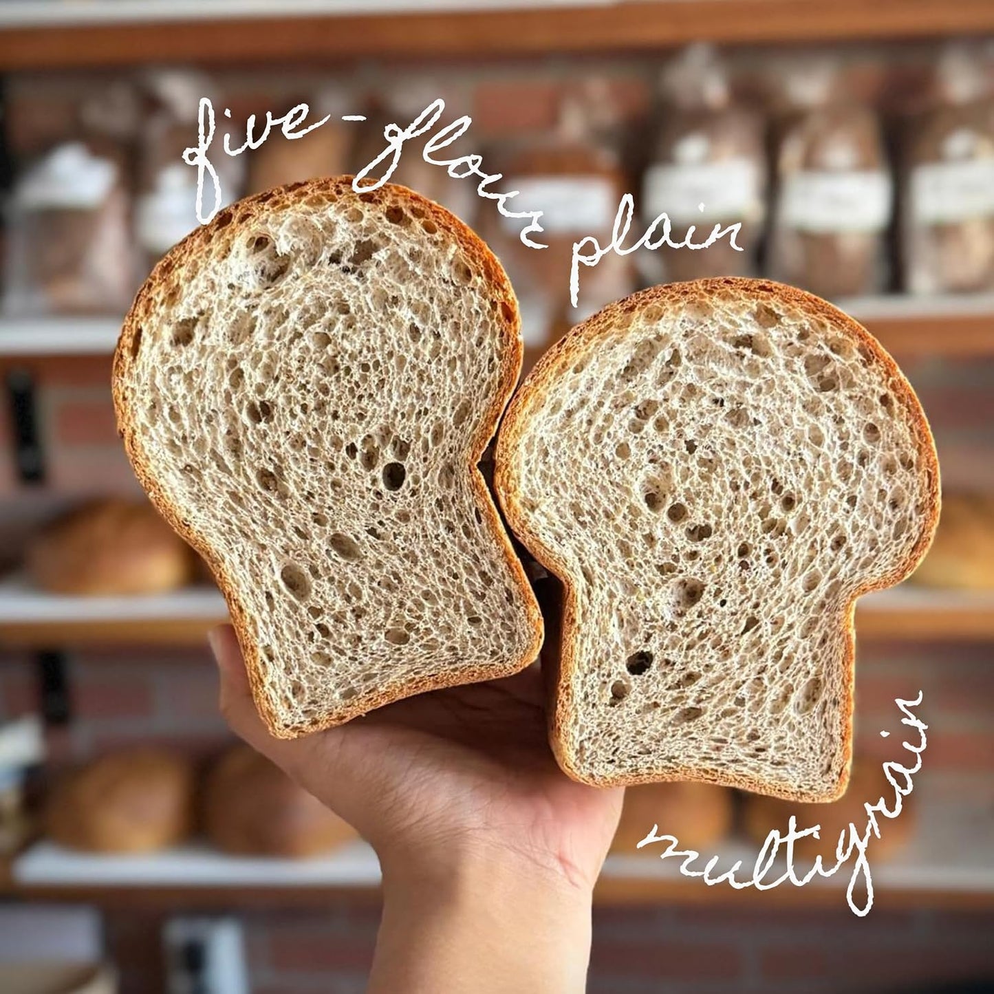 Dr. B's Wilbur Five Flour Multigrain Bread | (3 Pack (16 oz), Plain)