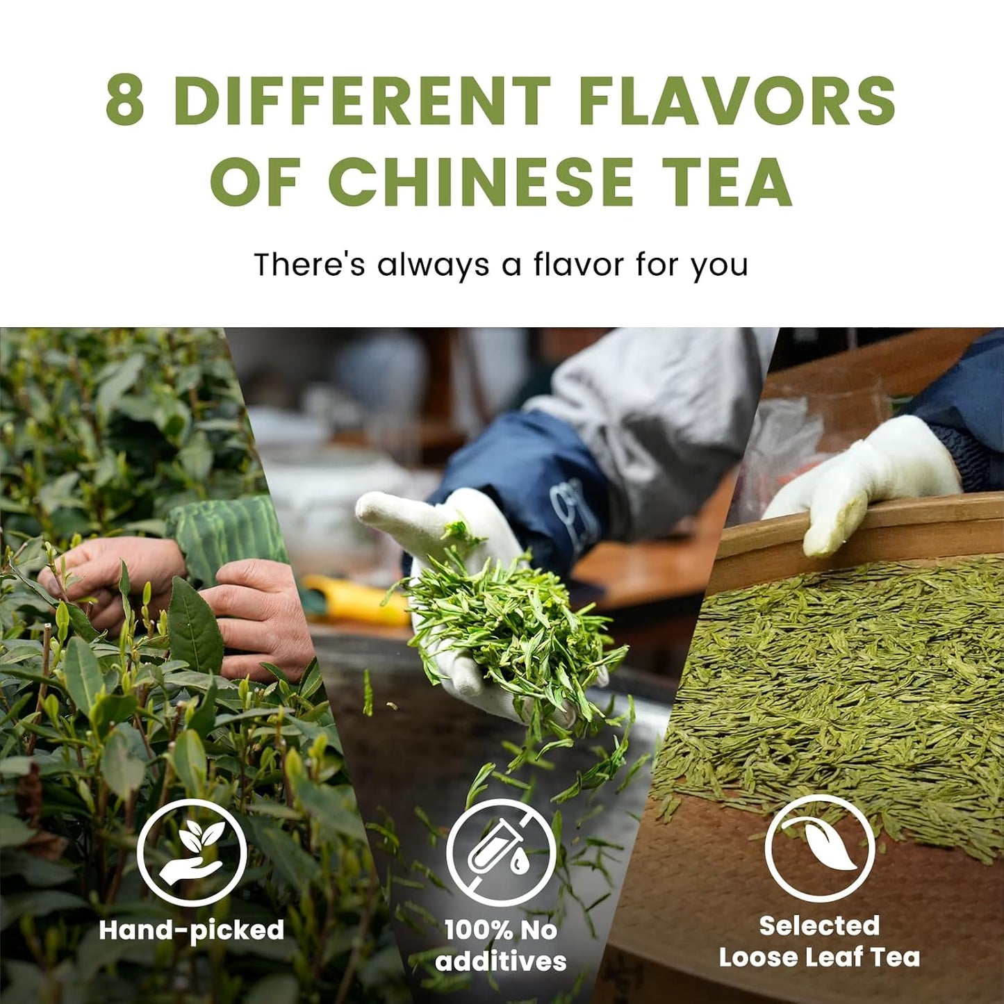 iTeaworld Loose Leaf Chinese Tea Sampler, 8 Flavors (Oolong Tea, Jasmine Flower Tea, Green Tea and White Tea), Each Flavor Comes With 2 Packs Of Loose Leaf Tea Sampler, With Mediumly Caffeinated, Sugar Free for Health, 2.1oz | Up to 200 Cups|Longjing,Jasm