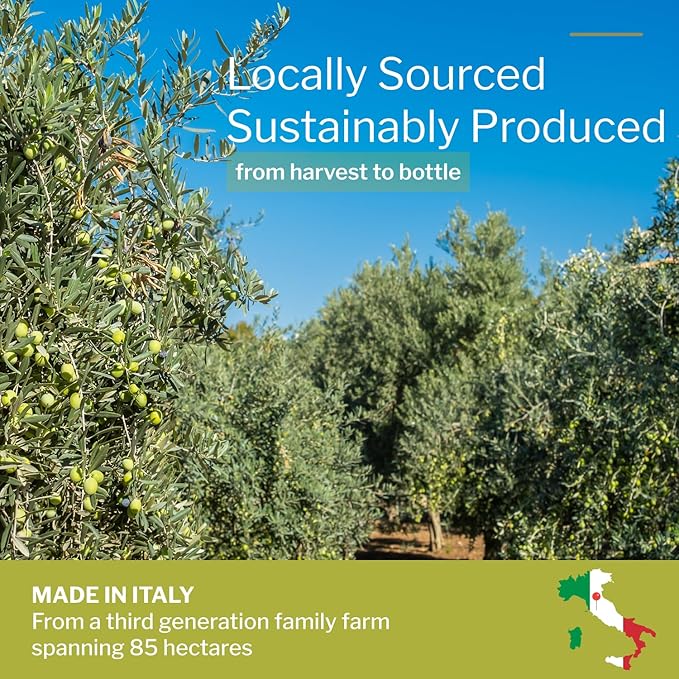 100% Tuscany Premium Organic Olive Oil Extra Virgin | Polyphenol Rich Extra Virgin Olive Oil Cold Pressed EVOO | Early Harvest from Italy (17.6oz)