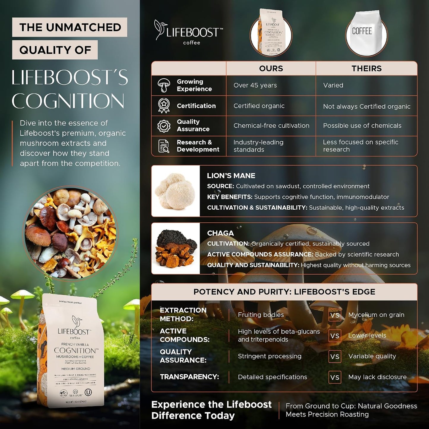 Lifeboost French Vanilla Cognition Mushroom Coffee - Low Acid Medium Organic Coffee with Nootropic Lions Mane &amp; Chaga Mushrooms - Increase Energy, Boost Focus &amp; Immune Support - 12 oz Bag - Ground