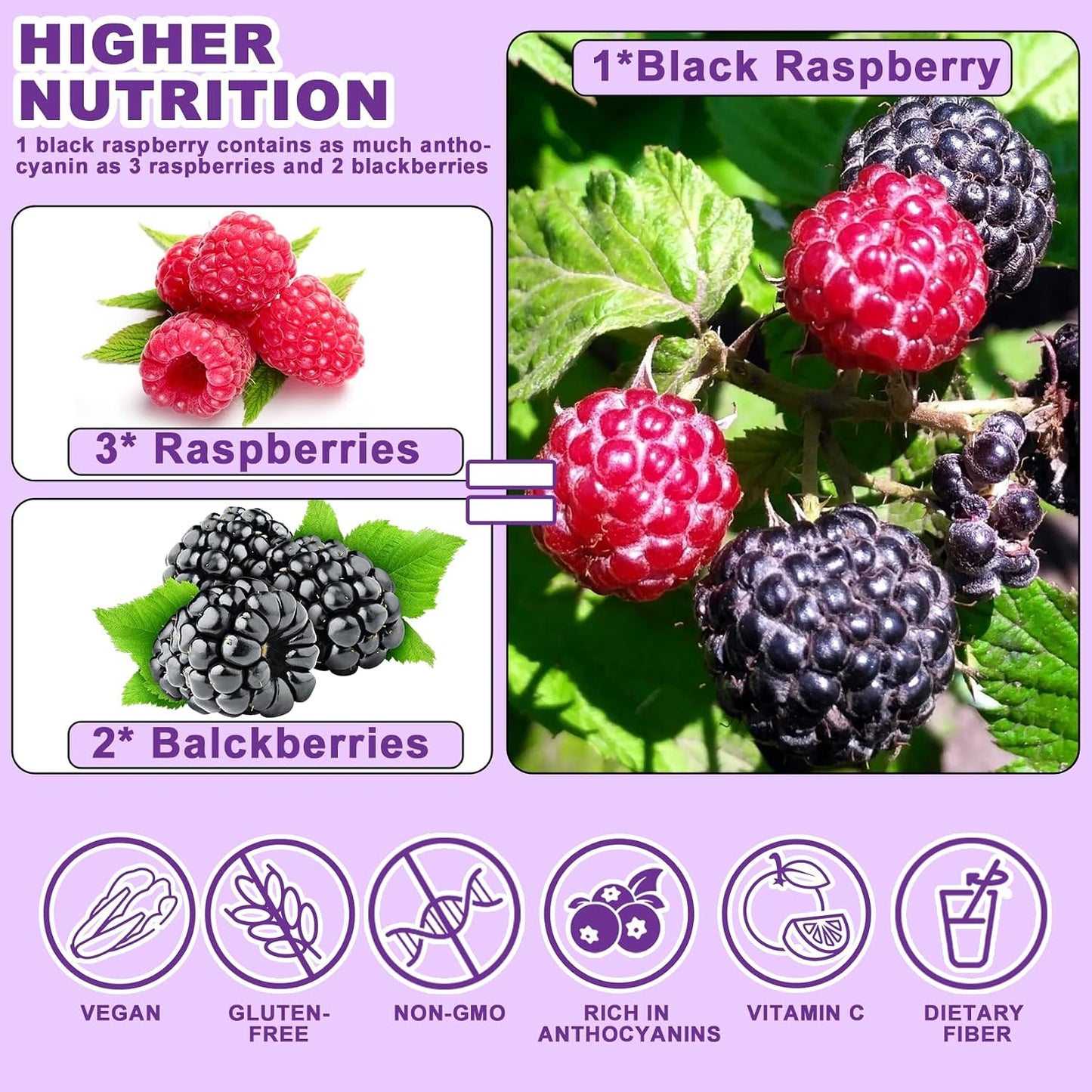 Freeze Dried Black Raspberry Powder - 6.5 OZ Super Fruit Powder, 100% Black Raspberry Extract, No Additive, No Artifical Sugar Non-GMO Natural Food Coloring for Baking, Smoothies, Yogurt