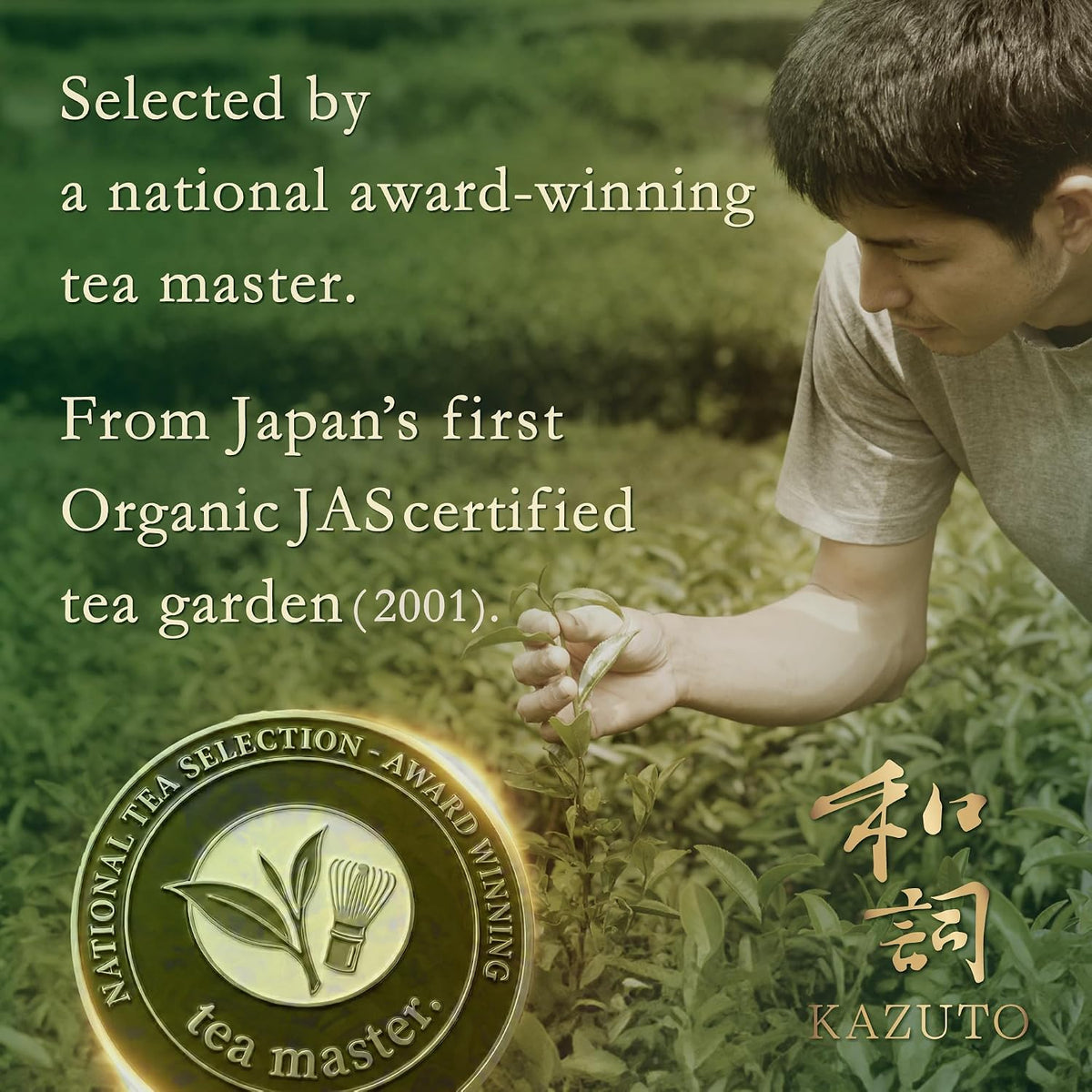 Kazuto Classic Ceremonial Grade Matcha Green Tea Powder - Premium First Harvest Single Origin USDA Organic Gluten-Free Vegan, 100% Pure Unsweetened No Additives from Shizuoka (1.06oz, Classic)
