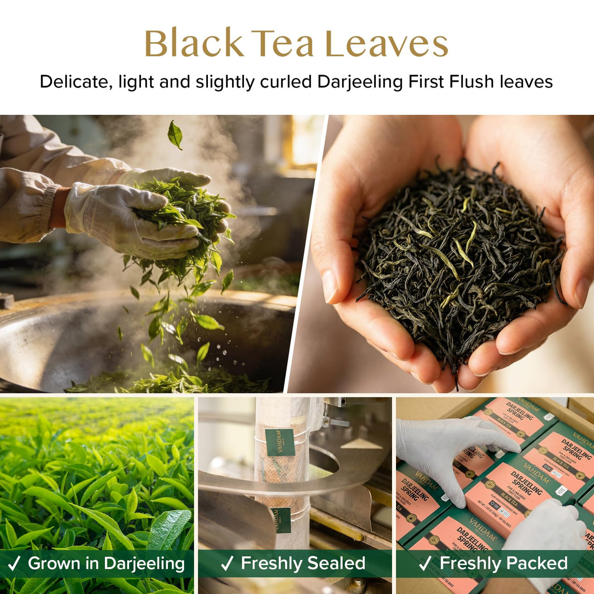 VAHDAM Darjeeling Spring Tea Bags (100 Count) Exotic First Flush Black Tea | Premium Long Leaf Quality | Aromatic, Robust Flavor, Unblended Darjeeling Tea| Caffeinated, Non GMO |Resealable Ziplock Pouch