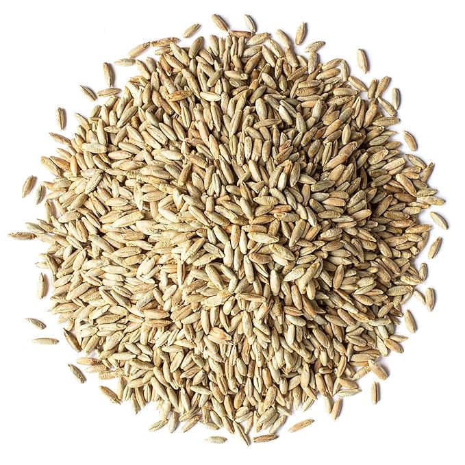 Food to Live Organic Rye Berries, 25 Pounds – Non-GMO, Kosher, Raw, Bulk Seeds, Product of the USA
