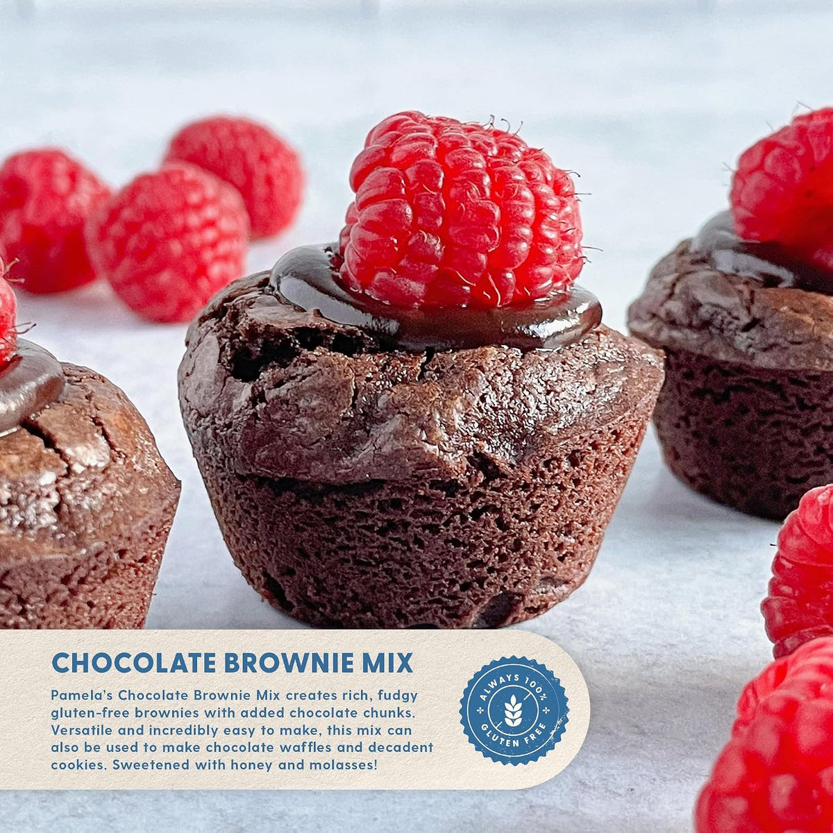 Pamela's Products Gluten Free Chocolate Brownie Mix