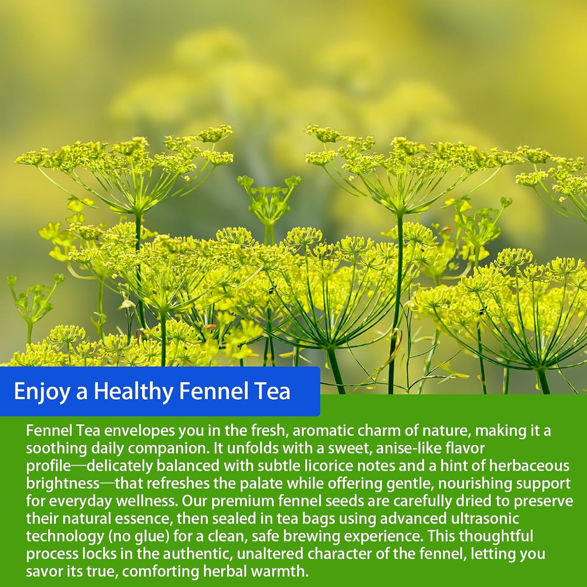 Samcci Fennel Tea Bags, 40 Count (4g/bag), Whole Fennel Seeds | Warm Aromatic Seed Infusion, Supports Digestion &amp; Immune System, Pure Herbal Tea, Non-GMO, Caffeine-Free, No Additives