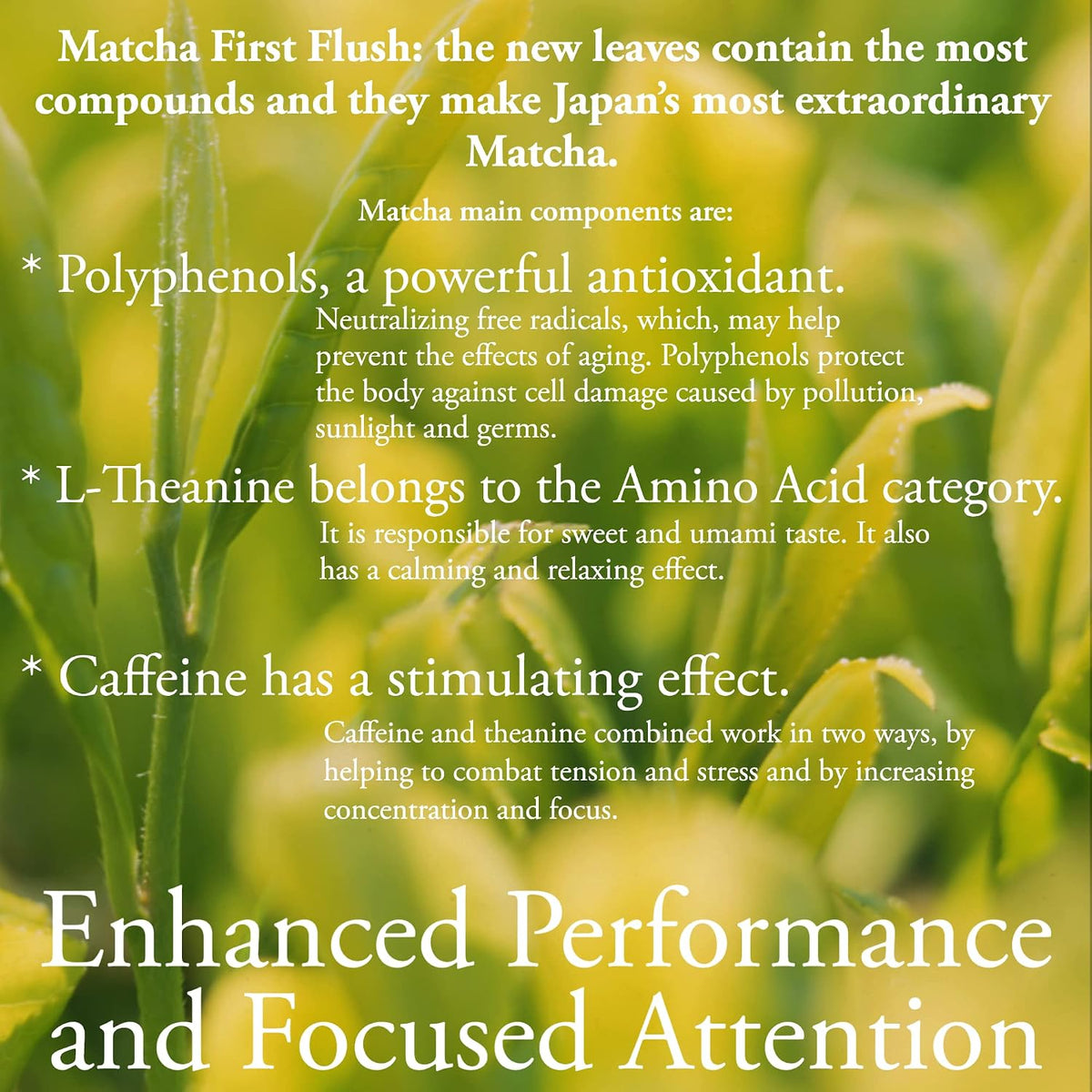 Pantenger Organic Matcha Green Tea Powder