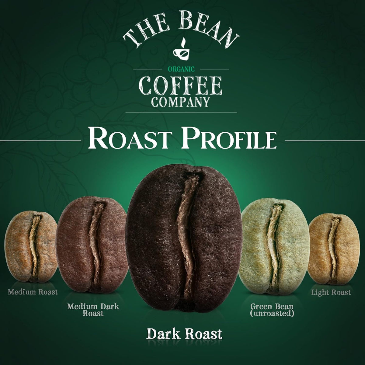 The Bean Organic Coffee Co. Half-Caff 50/50 French, Whole Bean, 2 x 1 lb | Deep, smoky, bold dark French. Balanced blend of regular and Swiss Water Process decaf. Organic half-caff coffee beans.