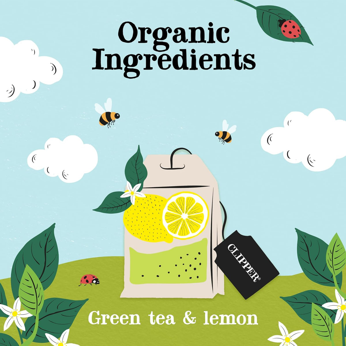 Clipper Organic Green Tea &amp; Lemon, 4 Pack / 200 Tea Bags | A light, crisp and refreshing green tea in unbleached tea bags, USDA Organic, Non-GMO approved.