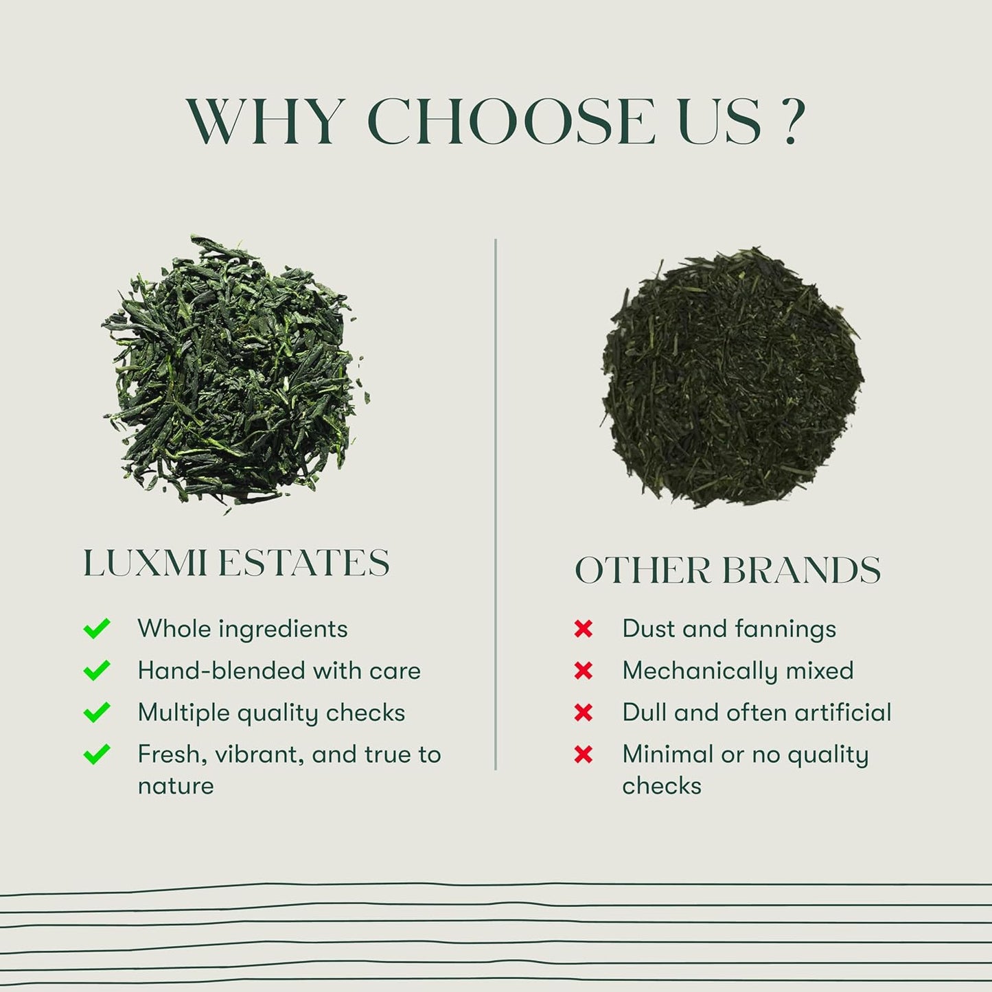 Luxmi Estates Japanese Sencha Green Tea 50g/1.76oz (25 Cups)|Authentic First Flush Sencha Loose Leaf|Mild Rich &amp; Refreshing