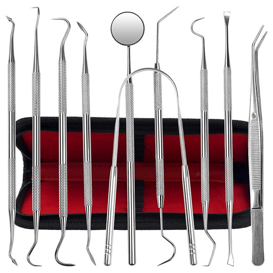 Dental Kit Tools, 10 Pack Stainless Steel Plaque Remover, Dental Tools to Remove Plaque and Tartar, Oral Care Kit with