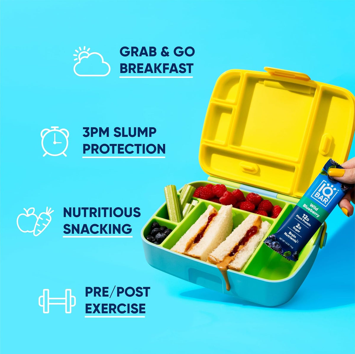 IQBAR Clean High Protein Bars