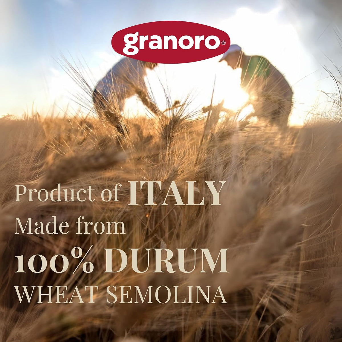 Granoro Dedicato Spaghettoni #110 (Thick Spaghetti) - Authentic Italian Pasta, Made from 100% Puglia Durum Wheat Semolina, Bronze Die, Non-GMO, Vegan, 1 lb Bags (Pack of 3)