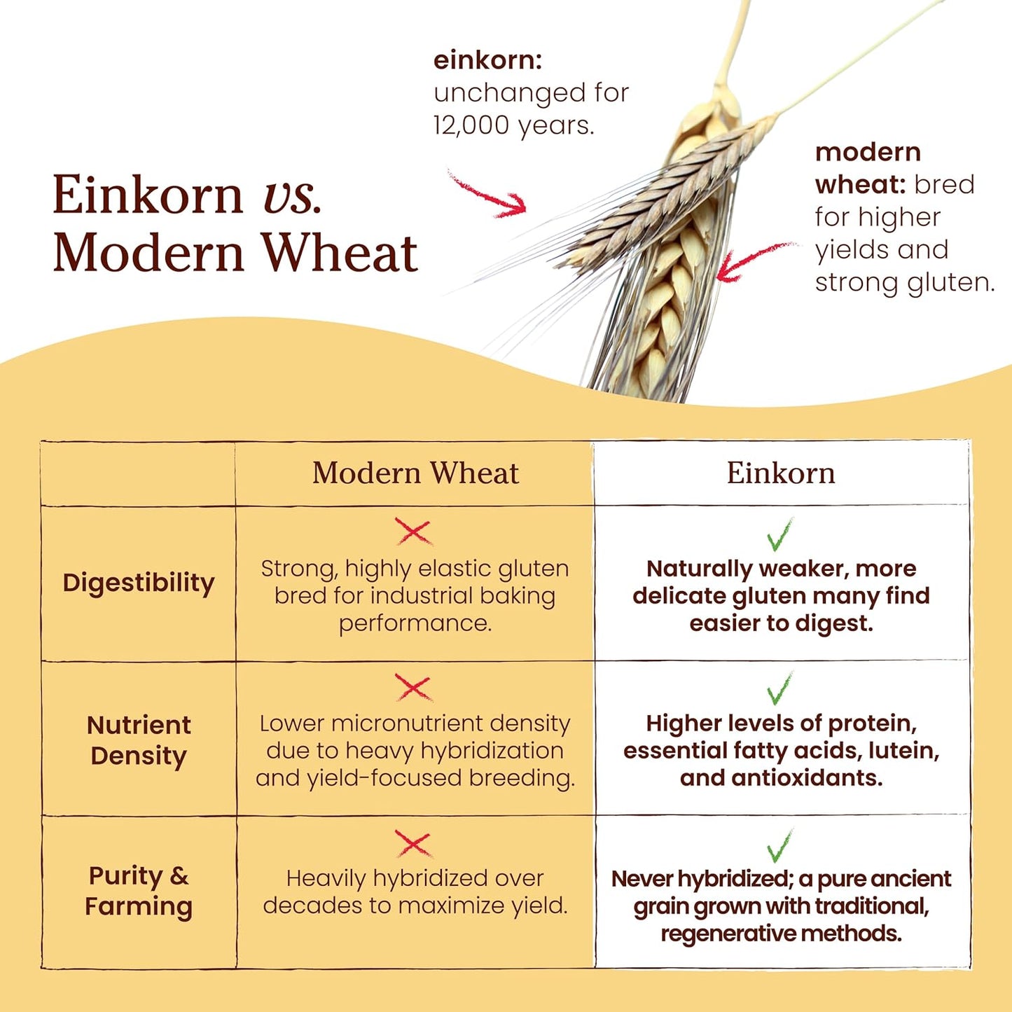 Jovial Organic Einkorn Whole Wheat &amp; Unbleached All Purpose, 32 Oz, 2 Pack