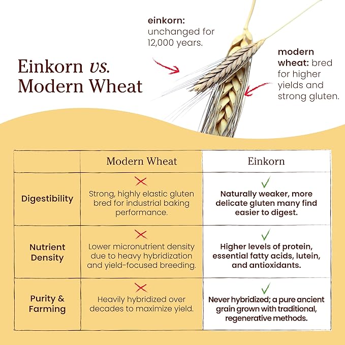 Jovial Organic Einkorn Whole Wheat & Unbleached All Purpose Flour - Bread Baking Flour for Sourdough, High Protein, Non-GMO, Organic Pizza & Pasta, European Italian - 32 Oz, 2 Pack