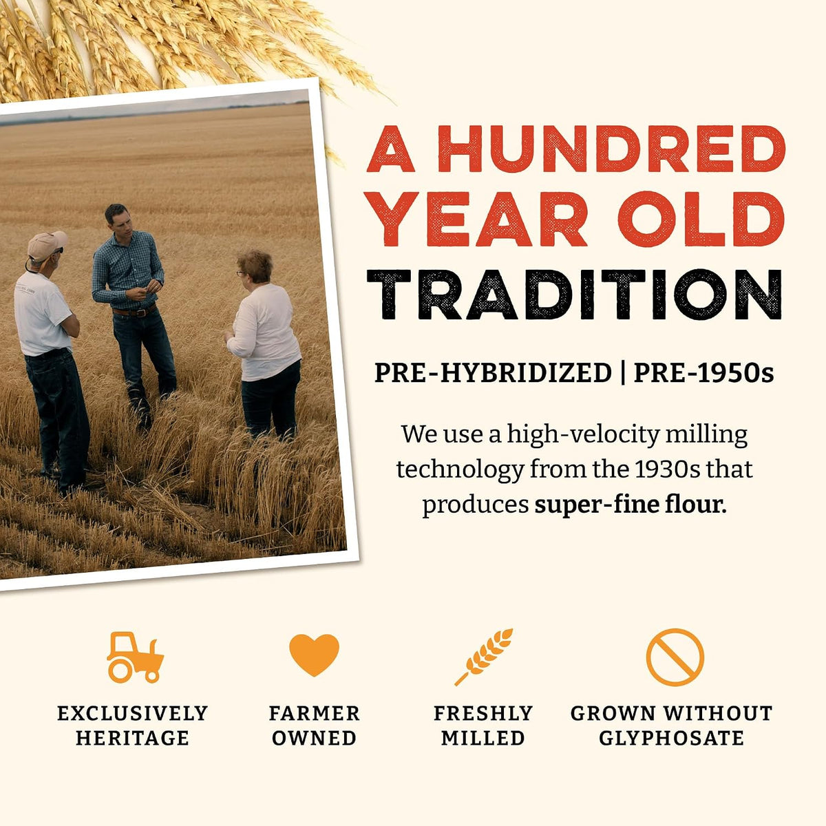 Sunrise Flour Mill Heritage Organic Bread Flour Blend - 2.0 lbs