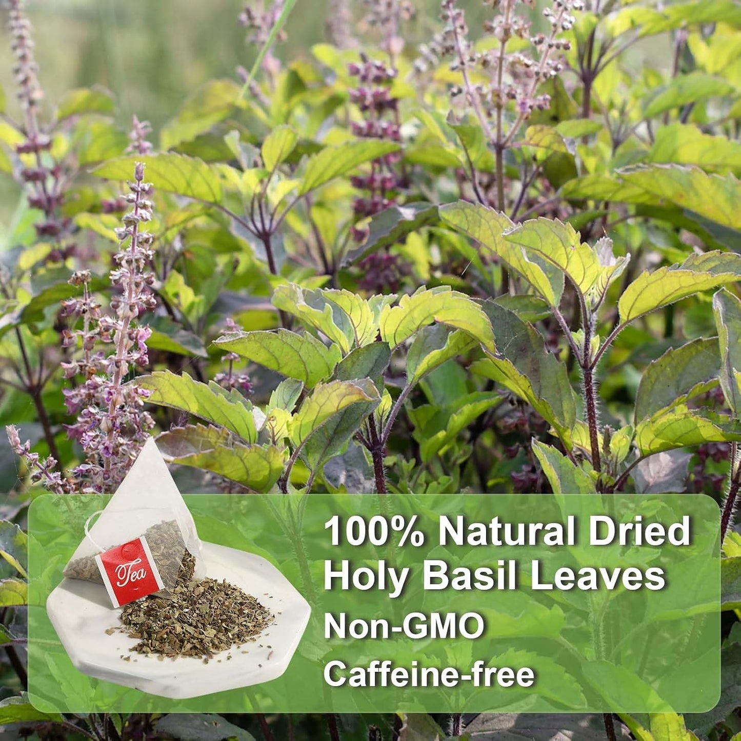 FullChea - Holy Basil Tea Bags, 40 Count, Dried Holy Basil Leaves | 100% pure tulsi holy basil tea, rich in plant antioxidants, Non-GMO caffeine-free, easy to brew hot or iced daily