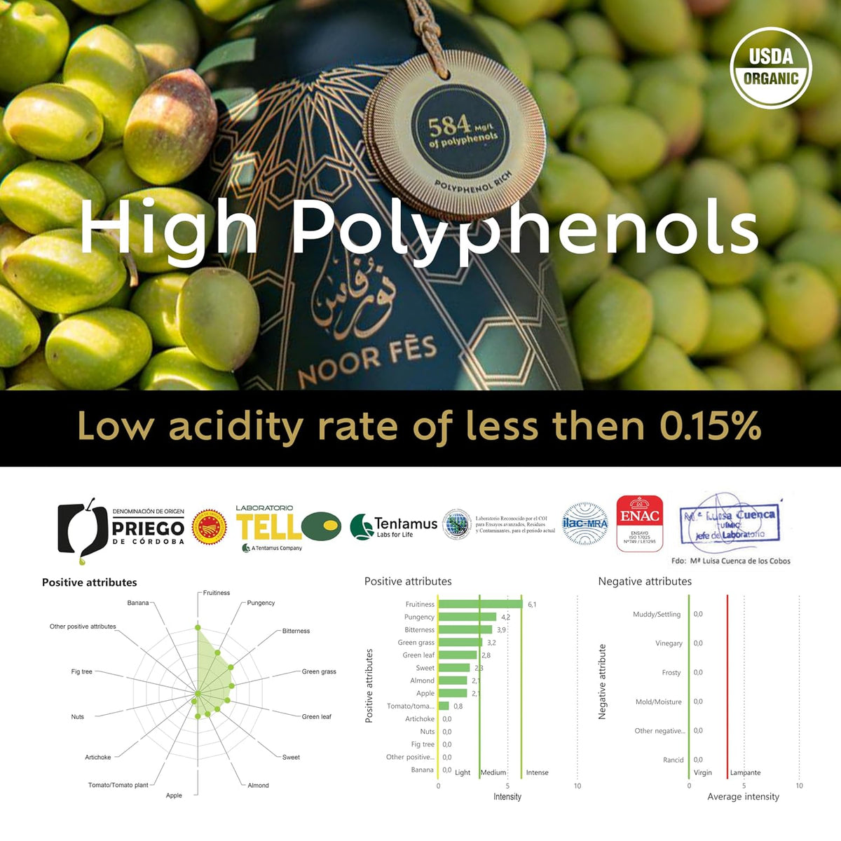 NOOR FÈS 20+ Awards EVOO | Polyphenol Rich 584 mg/kg | USDA Organic Extra Virgin Olive Oil | Moroccan Picholine | Cold Extracted Olive Oil | Great Gift for Chefs | 17 Oz.