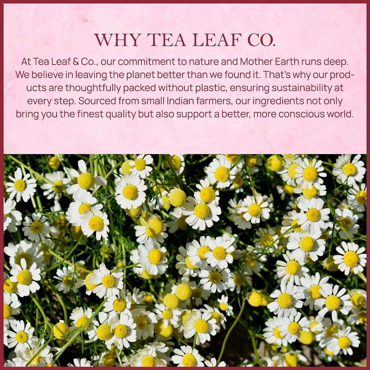 Chamomile Rose Citrus Herbal Tea 100g, Natural Herbal Infusion, 50 Tea Bags