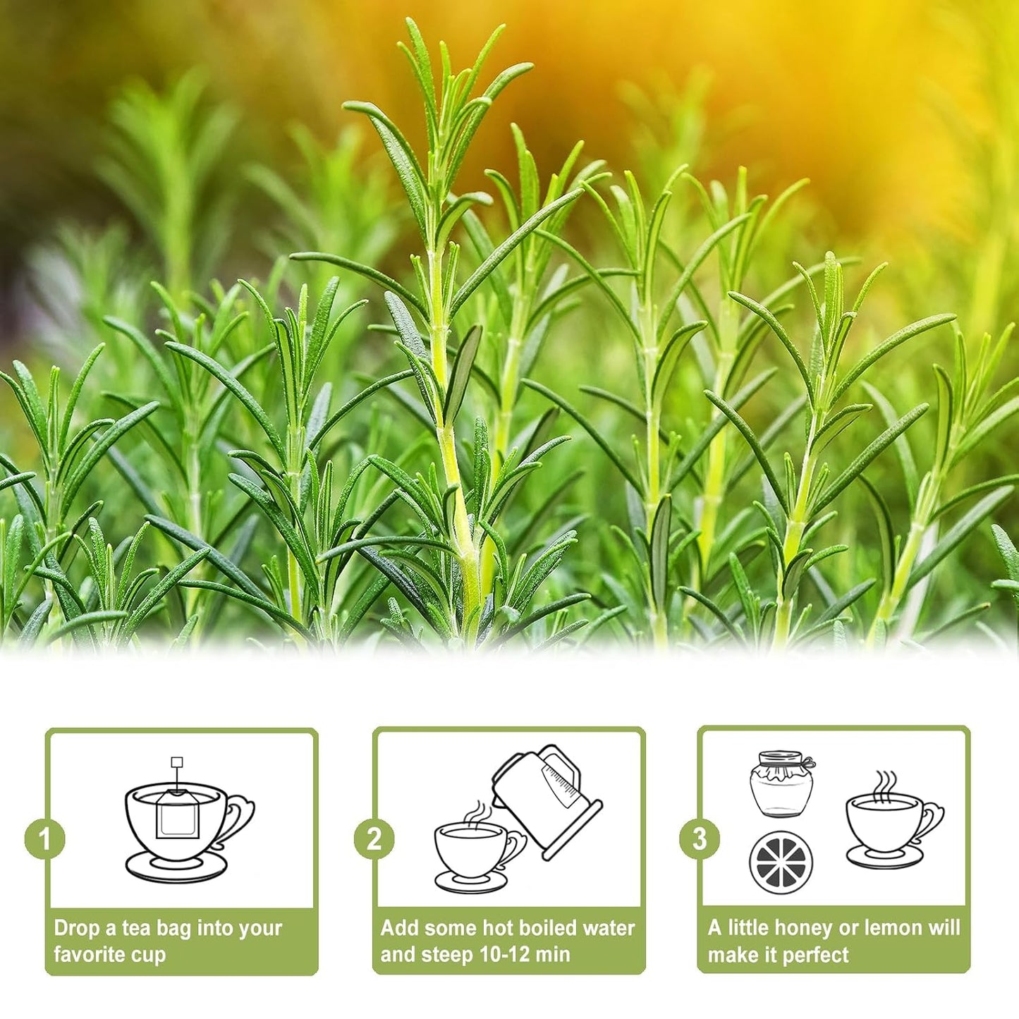 TEARELAE - Rosemary Tea Bags, 50 Count, Rosemary Leaves Tea | Country of origin Egypt, traditionally enjoyed to aid digestion and support respiratory health