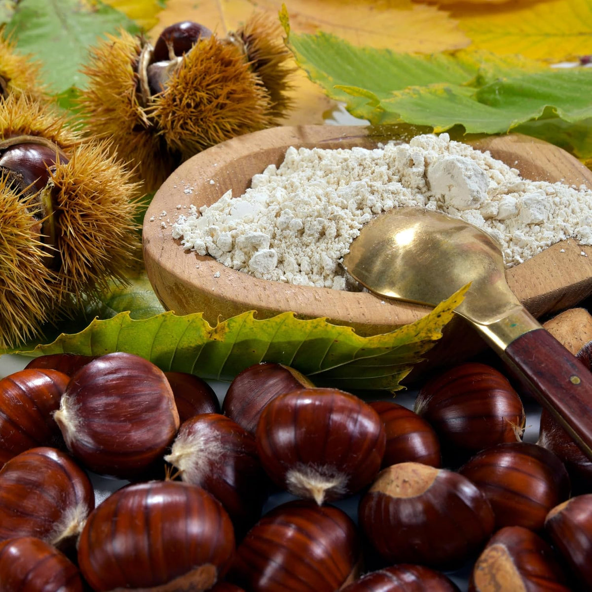 Sanniti Italian Gluten Free Chestnut Flour