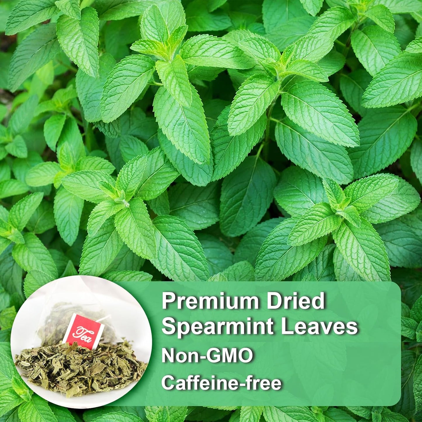 FullChea Spearmint Tea Bags, 40 Counts, Non-GMO, Caffeine-Free | Pure Dried Spearmint Leaf, Supports Digestion, Rich in Antioxidants. No Additives, Resealable Pouch