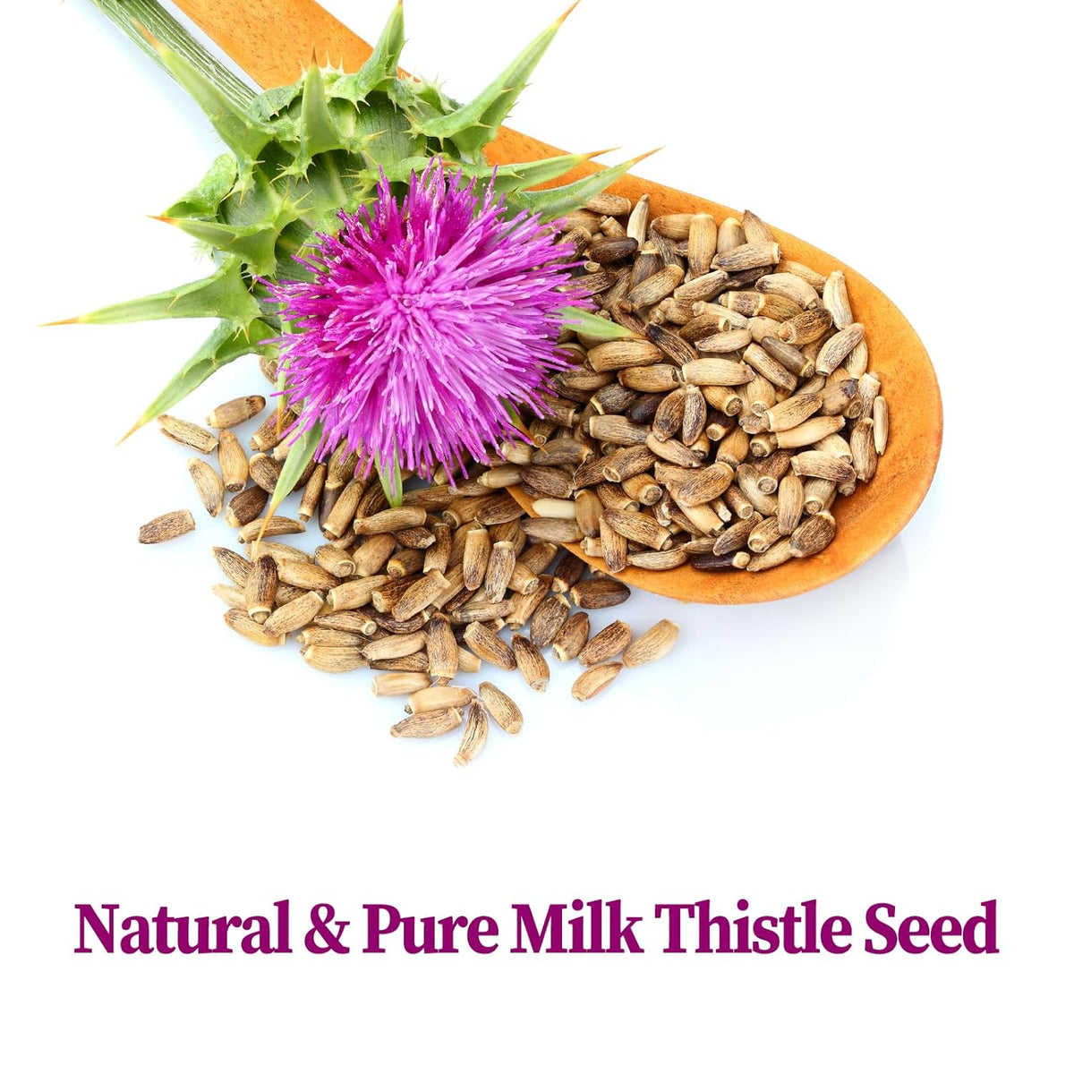 FullChea - Milk Thistle Tea Bags