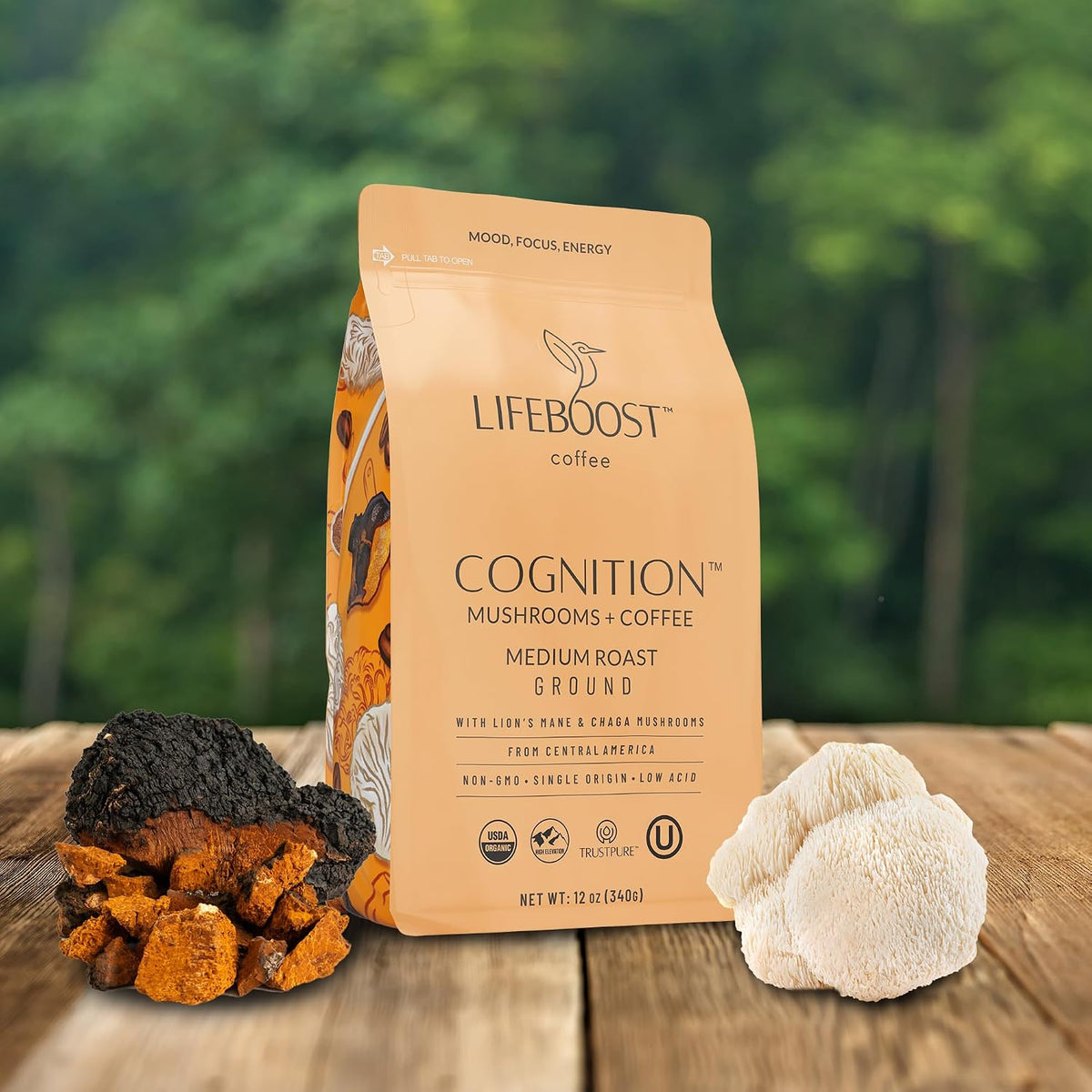 Lifeboost Cognition Focus Coffee for Calm Energy - Lion’s Mane Mushroom Coffee with Chaga - Organic Medium Roast Nootropic Coffee - Low Acid Adaptogenic Coffee - 12 oz Ground