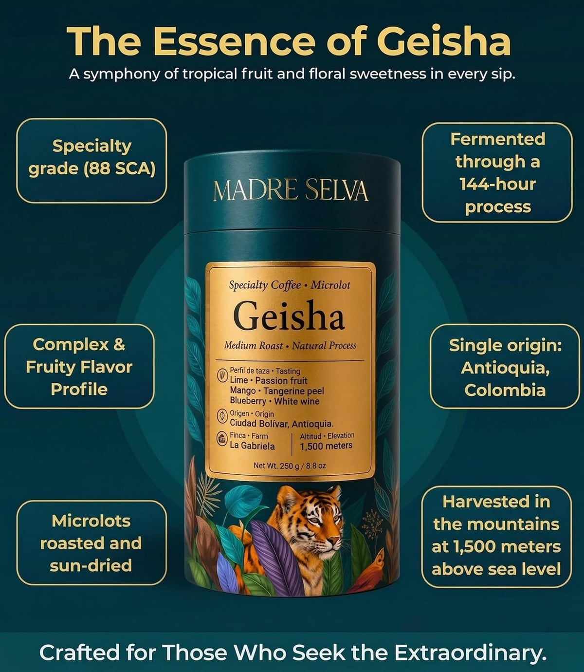 Madre Selva Geisha Coffee Beans Single Origin Colombian Medium Roast 8.8oz