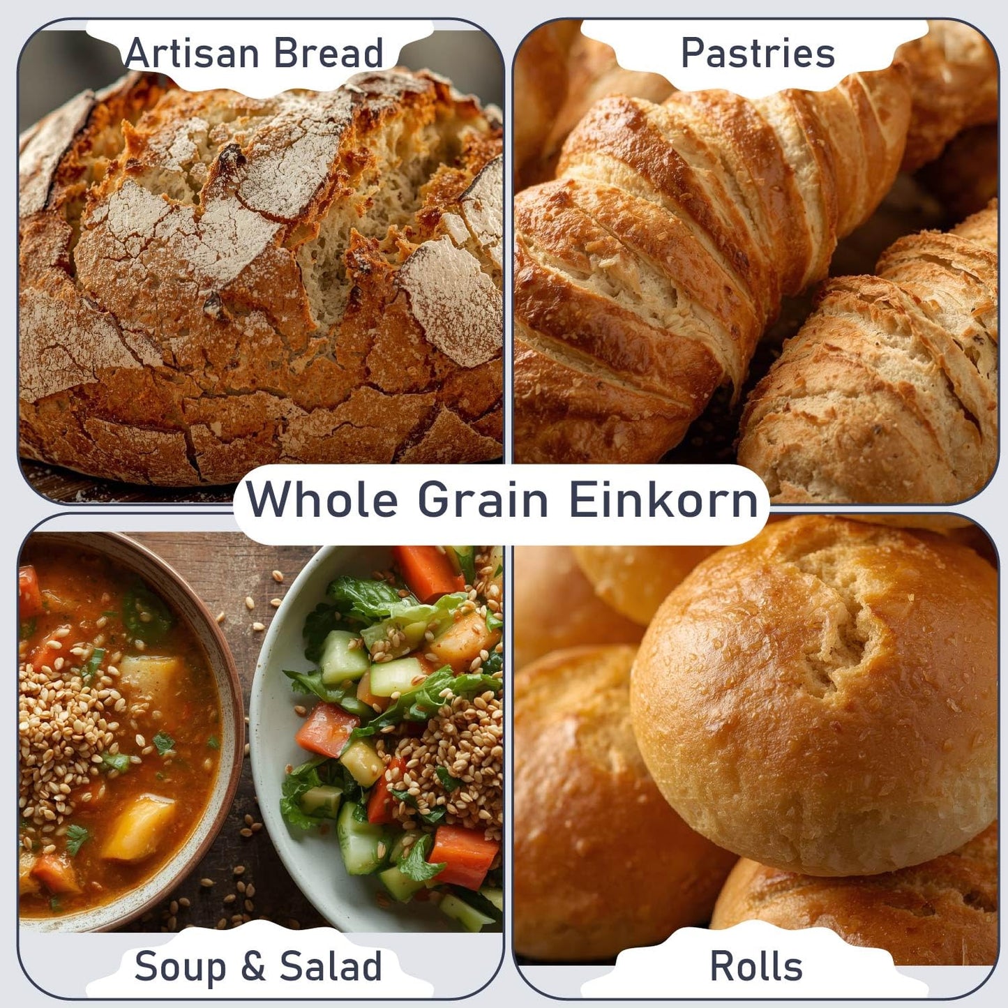 Great River Milling Organic Einkorn Wheat Berries, Ancient Grain, 5 lb | Organic Einkorn Wheat Berries for home-milled flour, bread, sourdough, soups, salads and grain bowls; chewy cooked grain or