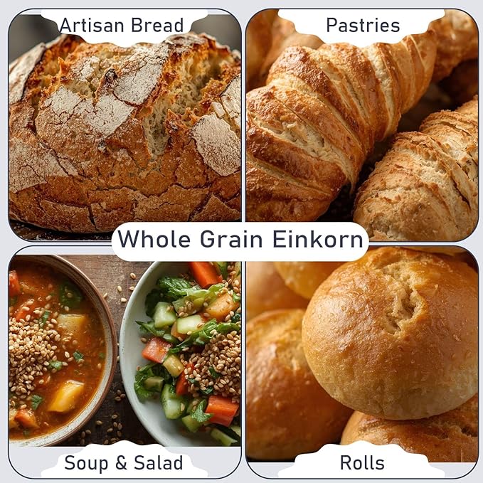Great River Milling Einkorn Wheat Berries | Whole Grain Ancient Wheat | Non-GMO, High-Protein, Kosher | Mill at Home as All-Purpose Flour Alternative for Baking & Cooking | 5 Lb