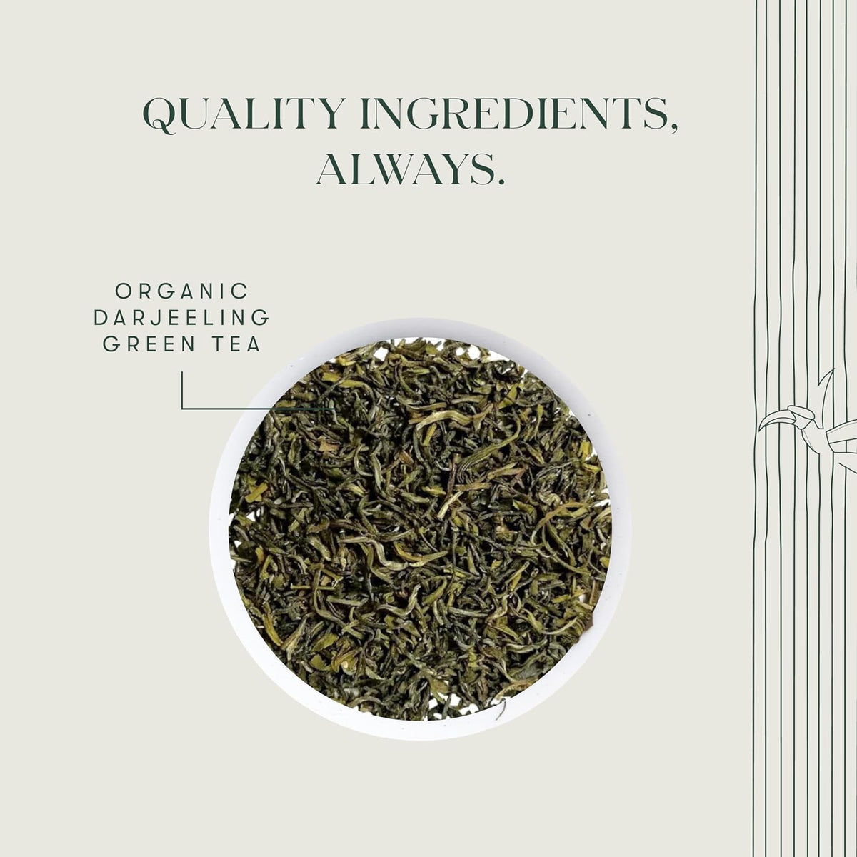Luxmi Estates - Tokyo Green - Organic Makaibari Darjeeling Green Tea - Loose Leaf - 100g, 3.52 Oz (50 Cups) | From the Foothills of the Himalayas